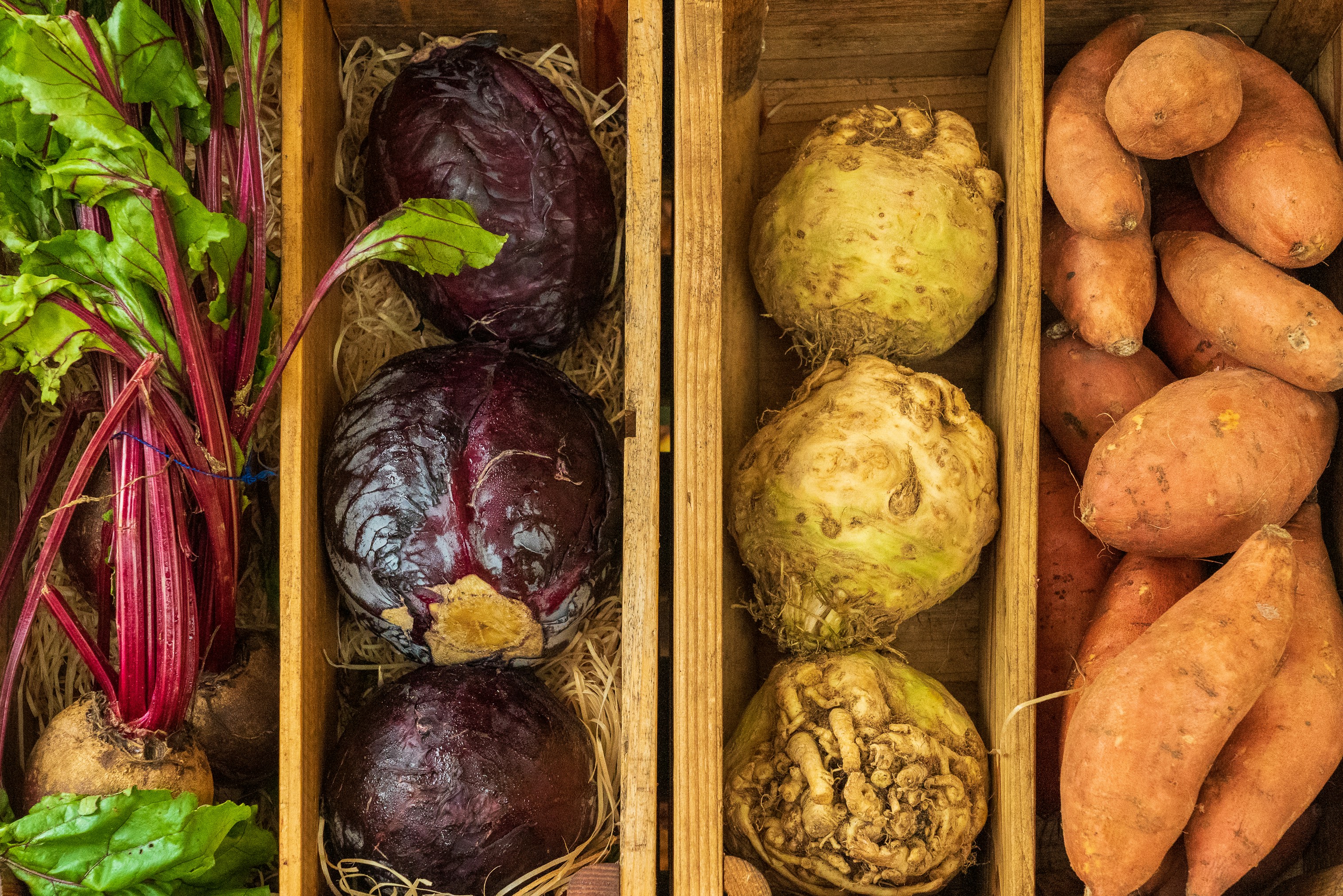 Preview: Eastside Community Pantry
